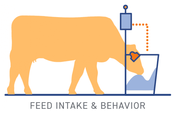 Feed Intake